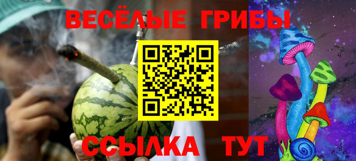 Снежинск  Галлюциногенные грибы ЛСД  Галлюциногенные грибы мухоморы  цена наркотик  Вход с VPN 